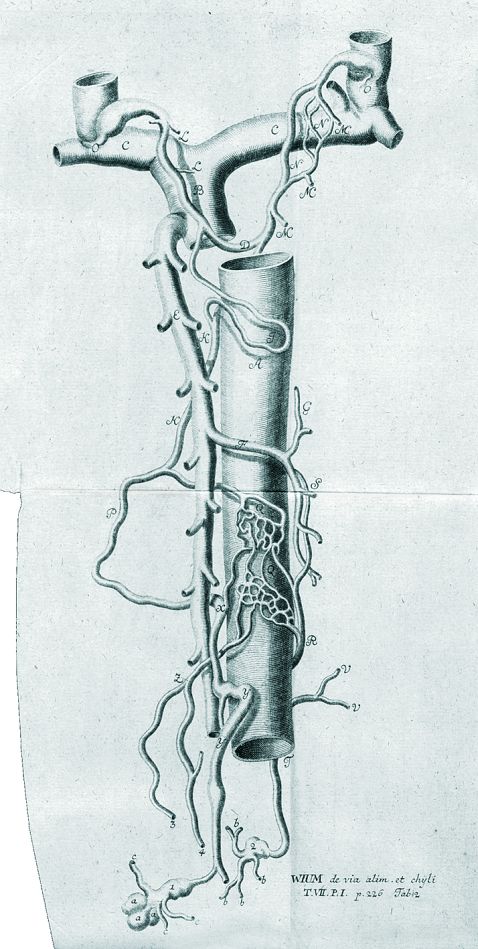 Haller, A. von - Disputationem anatomicarum. 7 Bde.