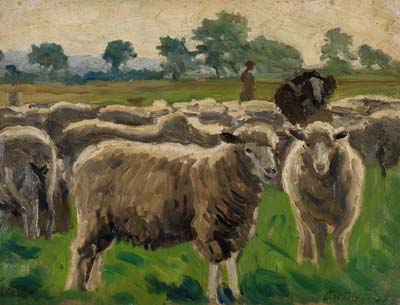 Friedrich Schaper - Schafe auf der Weide