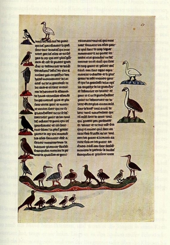 Friedrich II. - Über die Kunst mit Vögeln zu jagen, 3 Bde. 1964