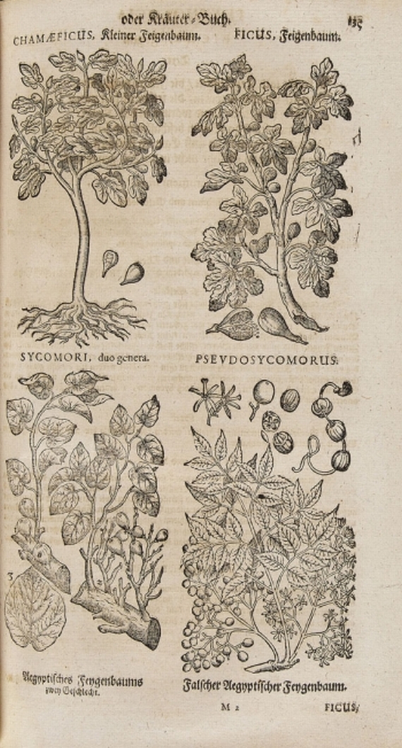 Becher, J. J. - Becher, J. J., Parnassus medicinalis illustratus. 1663.