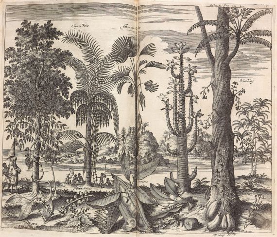 John Nieuhof - A Collection of Voyages and Travels. 1704