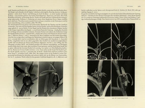 Rudolf Schlechter - Die Orchideen, 1987, 5 Bde. + 1 Bd. Die Orchideen, 1915