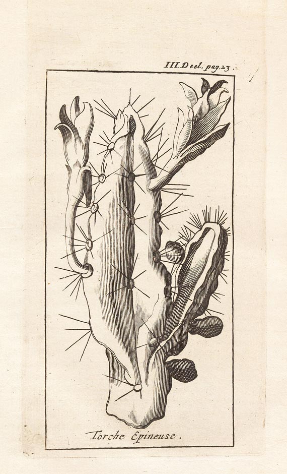 Jean Baptiste Labat - Nieuwe Reisen, 4 in 2 Bdn. 1725 - Weitere Abbildung
