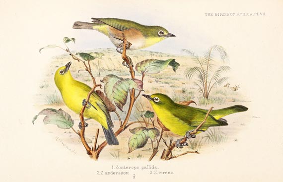 George Ernest Shelley - Birds of Africa, 6 Bde. (1896)
