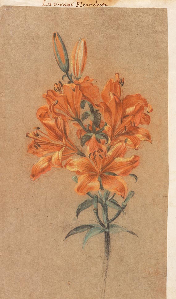 Florilegium - Fleurs du Printemps et de L
