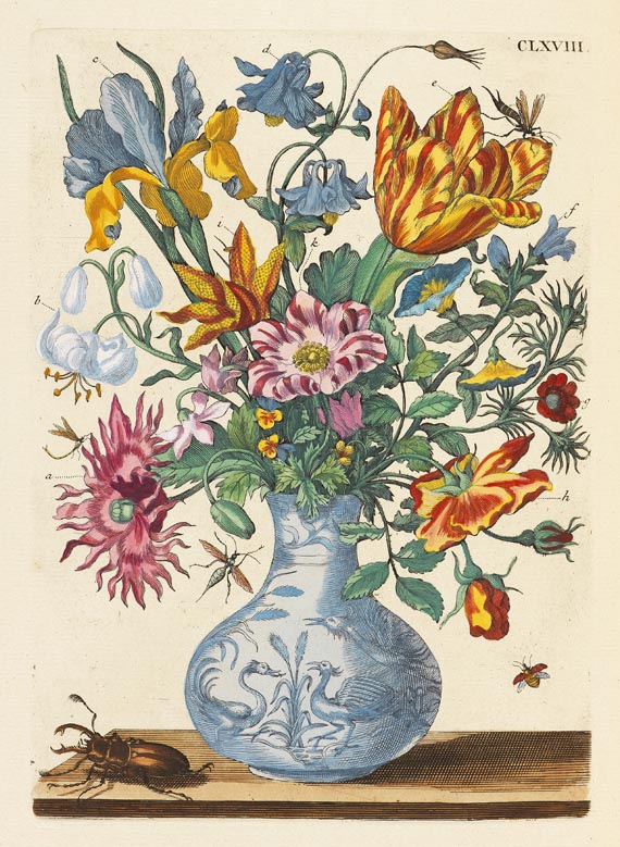 Maria Sibylla Merian - De europische Insecten. 1730 - Weitere Abbildung