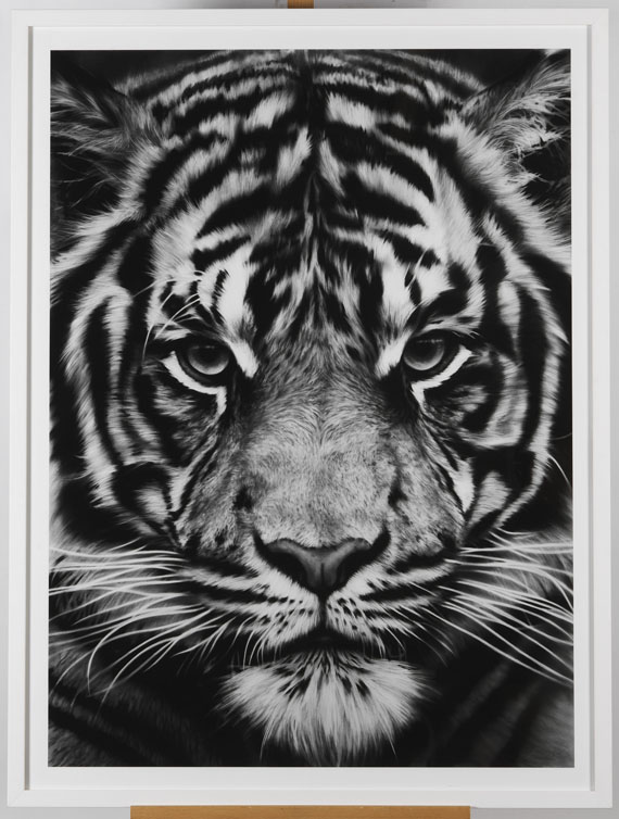 Robert Longo - Tiger - Rahmenbild