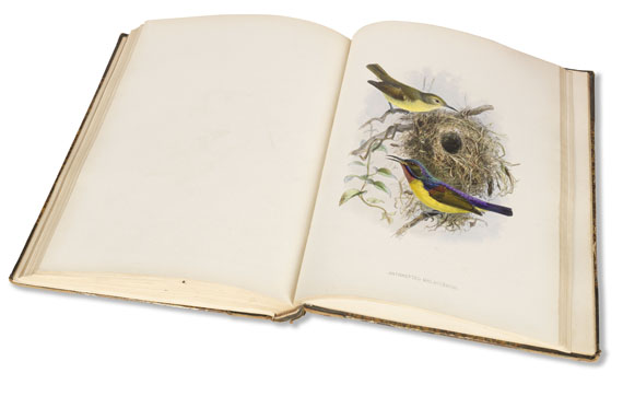 George Ernest Shelley - A monograph of the Nectariniidae, or sun birds. 1876. - Weitere Abbildung