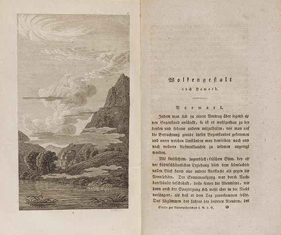 Johann Wolfgang von Goethe - Morphologie. 6 Hefte in 2 Ledermappen - Weitere Abbildung