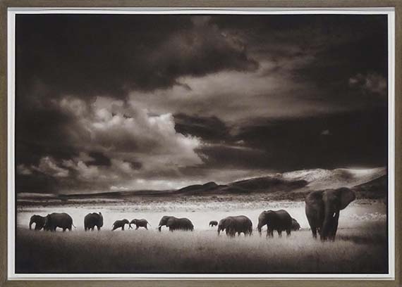 Nick Brandt - Elephant Herd, Serengeti