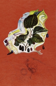 Salvador Dalí - Mûres sauvages (Flordali)
