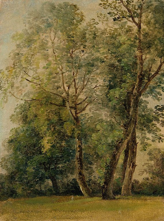 Johann Georg von Dillis - Bäume im Englischen Garten