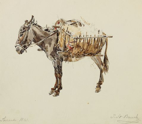 Johann Nepomuk Rauch - Lasten tragender Esel
