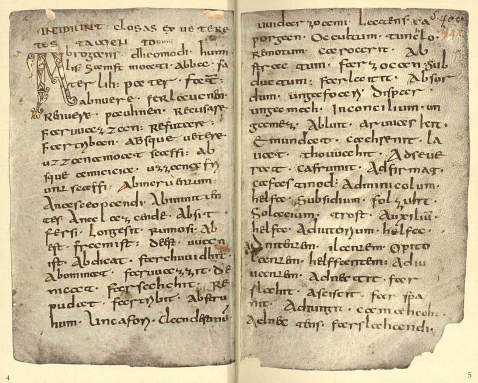 Abrogans-Handschrift - Abrogans-Handschrift, 2 Bde.