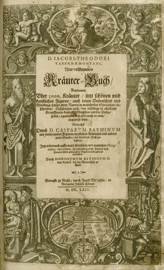 Jacobus Theodorus Tabernaemontanus - New Kräuterbuch. 1664
