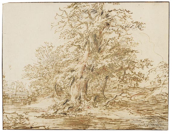 Claes van Beresteyn - Zugeschrieben - Bäume