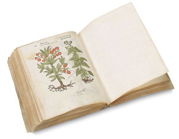   - Herbarum, arborum, fruticum, frumentorum. 1552 - Weitere Abbildung