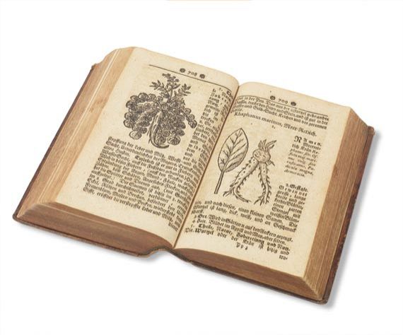 Samuel Müller - Curioser Botanicus, Oder: Sonderbahres Kräuter-Buch. 1730