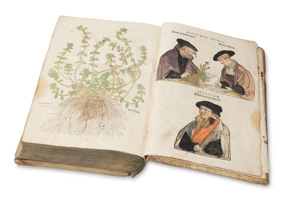 Leonhart Fuchs - De Historia stirpium. 1542. - Weitere Abbildung