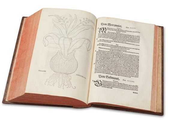 Leonhart Fuchs - New Kreüterbuch. 1543 - Weitere Abbildung
