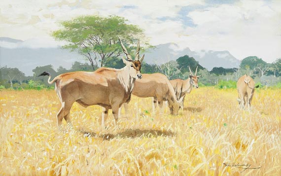 Antilopen, 1900