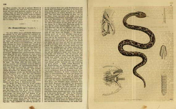 Buch der Welt, Das - Das Buch der Welt, 1845
