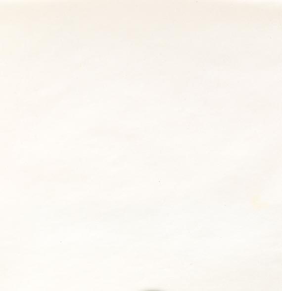 Ernst Ludwig Kirchner - Berglandschaft mit Edelweiß - Weitere Abbildung