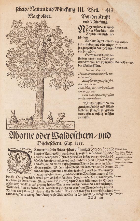 Hieronymus Bock - Kreutterbuch, 1595