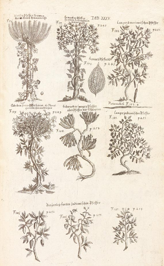 Pierre Pomet - Materialien- u. Naturalien-Magazin, 1727