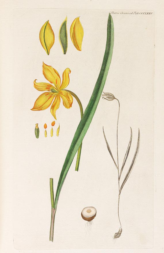 Georg Christian Oeder - Flora Danica, 1766, 29 Hefte in 15 Bdn.