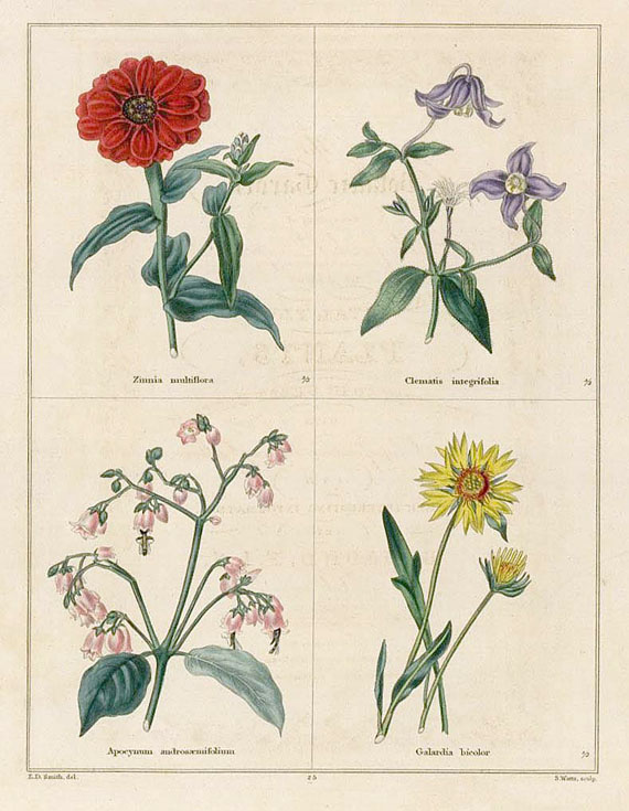 Benjamin Maund - Botanic Garden. Bd. II. 1827-28.