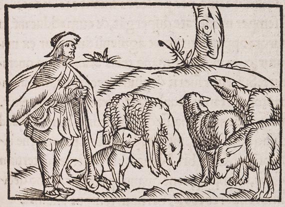 Petrus de Crescenzi - De omnibus agriculturae (1548) - Weitere Abbildung