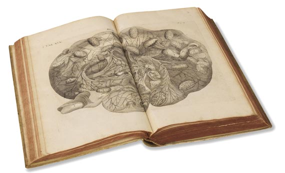 Hieronymus Fabricius ab Aquapendente - Opera omnia anatomica et physiologica. Leipzig 1687 - Weitere Abbildung