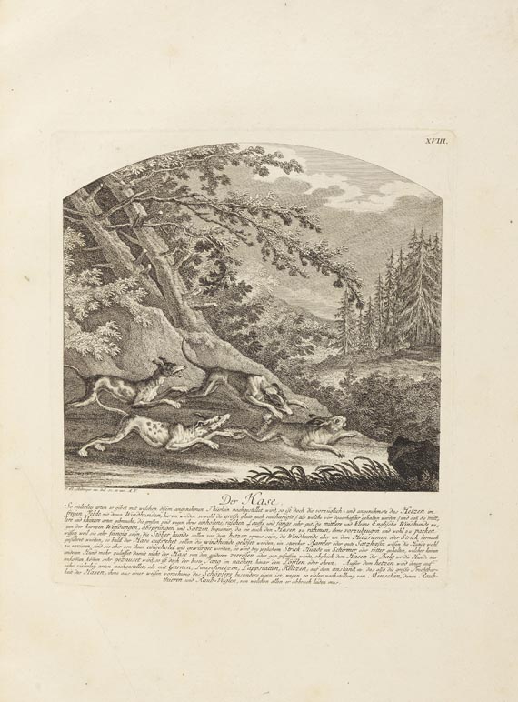 Johann Elias Ridinger - Jagtbare Thiere. 1761 - Weitere Abbildung