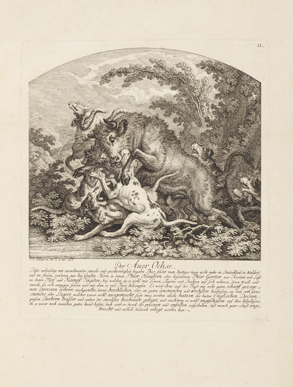 Johann Elias Ridinger - Jagtbare Thiere. 1761