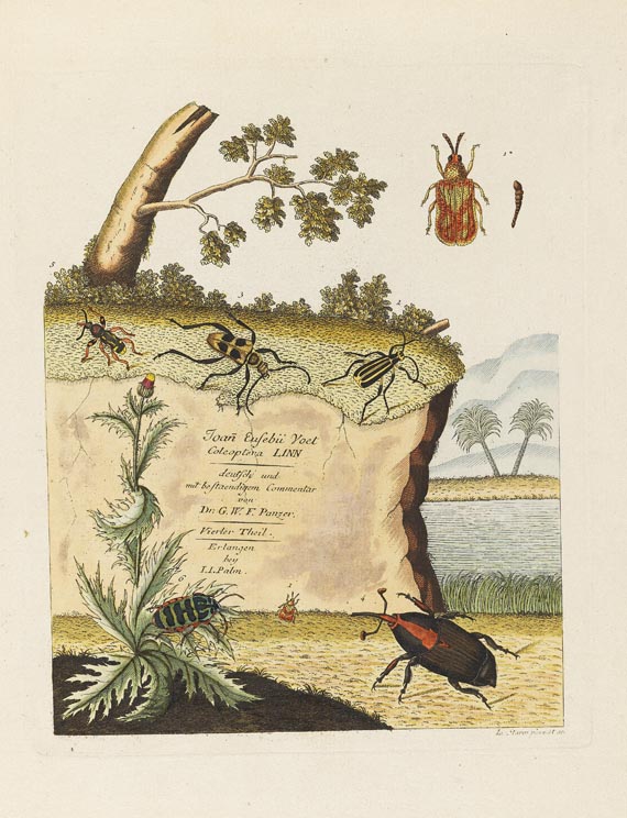 Johann Euseb Voet - Beschreibungen und Abbildungen hartschaalichter Insekten. 5 Bde. 1793-1802. - Weitere Abbildung