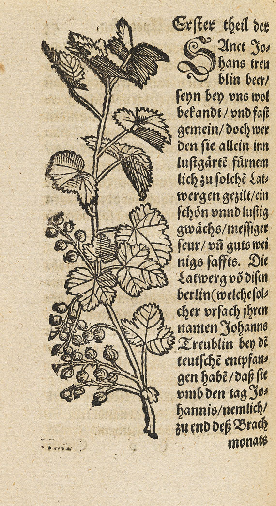 Walther Hermann Ryff - Confectbuch unnd Hausz Apoteck. 1578.