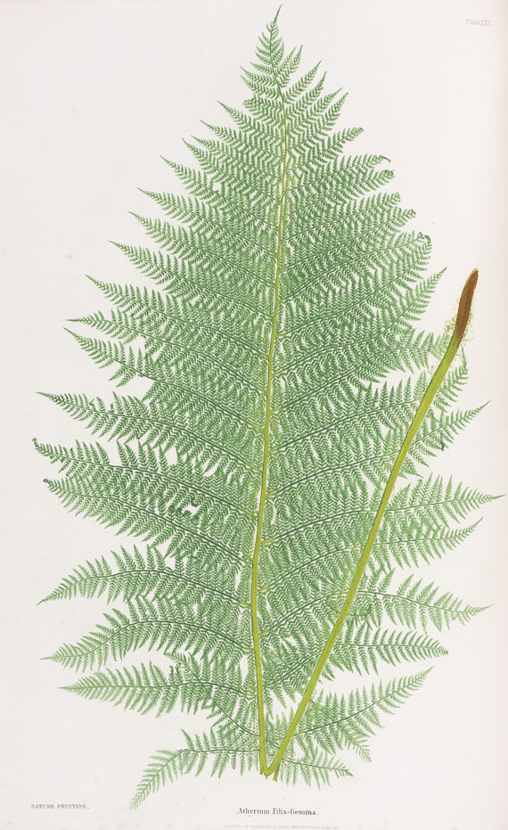 Thomas Moore - Ferns of Great Britain. 2nd. ed.1857.