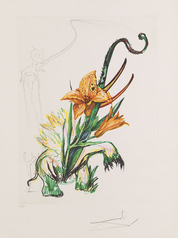 Salvador Dalí - 3 Bätter: Hemerocallis thumbergii elephanter furiosa. Narcissus telephonans inondis. Dianthus carophilius cum clavinibus multibibis - Weitere Abbildung
