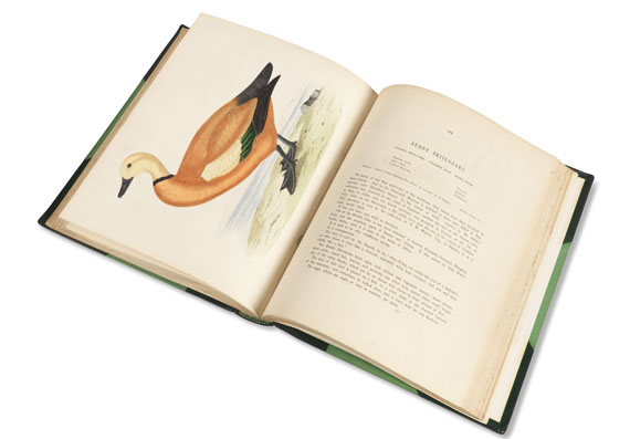 B. R. Morris - British game birds and wildfowl. EA 1855. - Weitere Abbildung