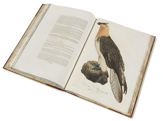 Johann Conrad Susemihl - Teutsche Ornithologie. 1800-1817. 2 Bde.. - Weitere Abbildung