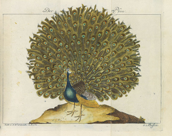 Georges Louis Leclerc de Buffon - Werke. 18 Bde. 1772. - Weitere Abbildung