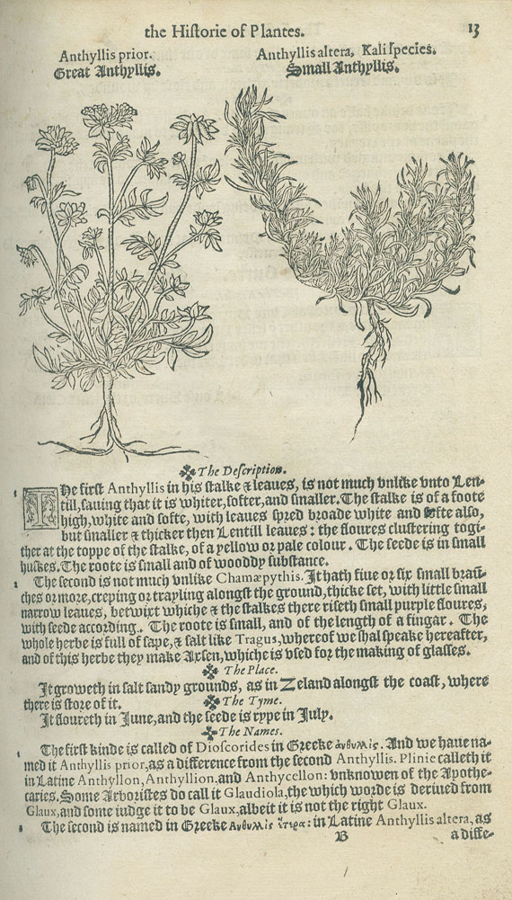 Rembertus Dodonaeus - A nievve herball. 1578.