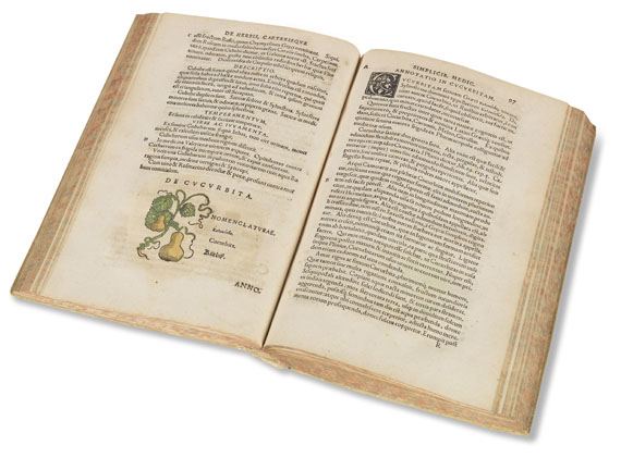 Theoderich Dorsten - Botanicon. 1540. - Weitere Abbildung