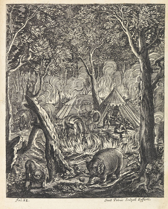 Petri von Hartenfels - Elephantographia curiosa. 1715. - Weitere Abbildung