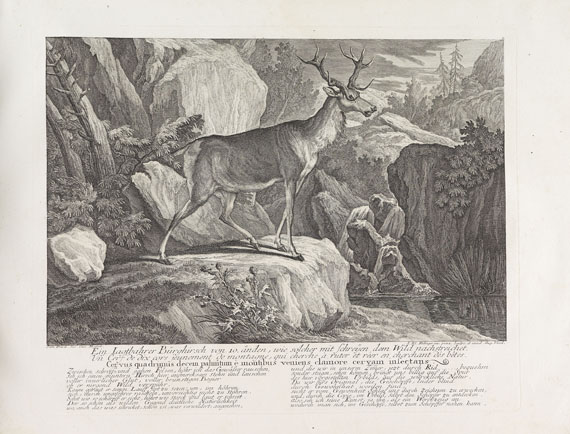 Johann Elias Ridinger - Betrachtung der wilden Thiere. 1736 - Weitere Abbildung