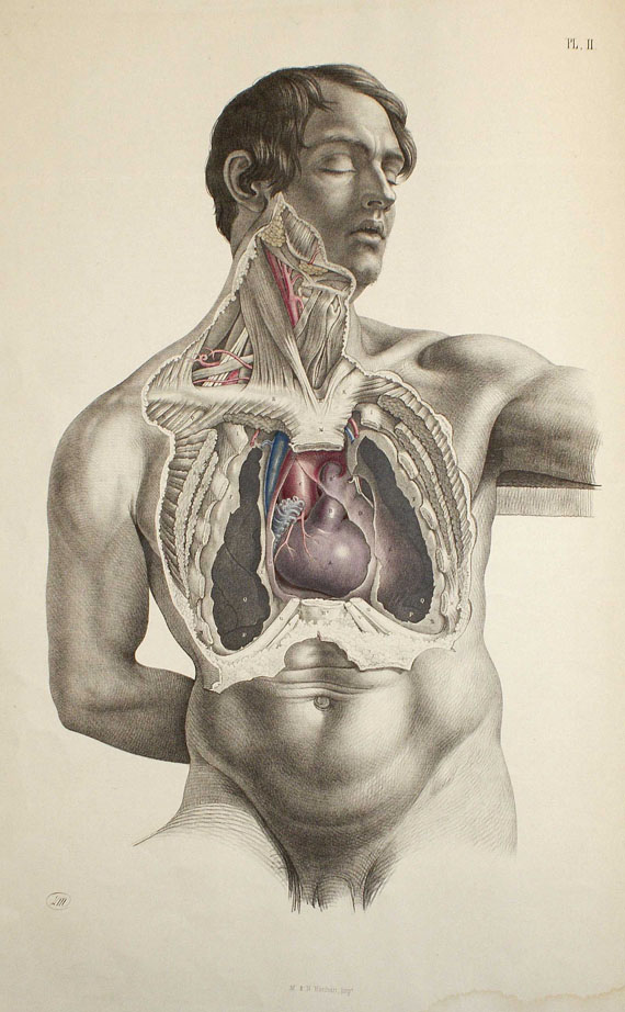 Josef Maclise - Surgical anatomy. 1856