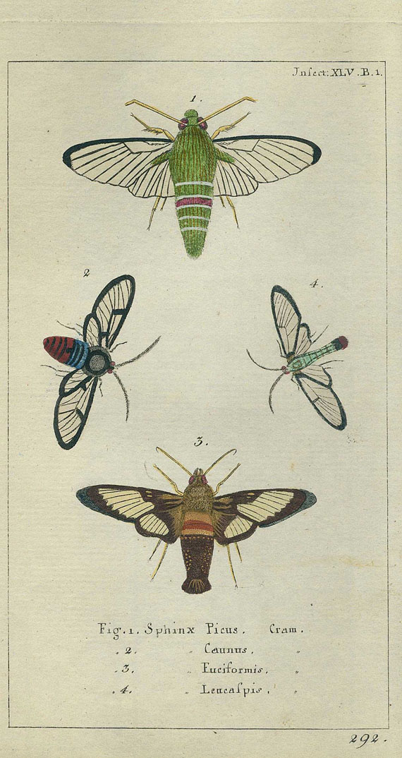 Joh. Friedr. Wilh. Herbst - Kentniß der Insekten. 2 Bde. 1786-87