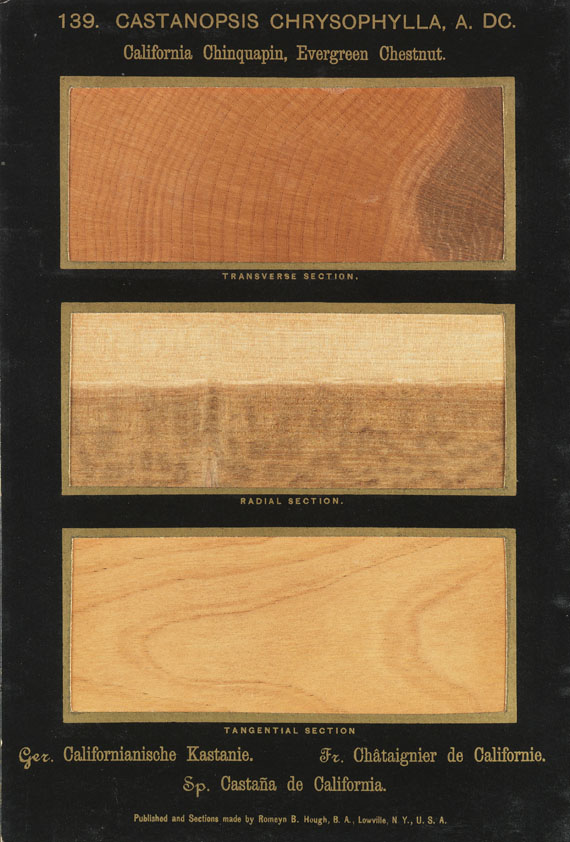 Romeyn Beck Hough - The American Woods. 3 Textbde. und 14 Kassetten mit Tafeln. Zus. 17 Bde.