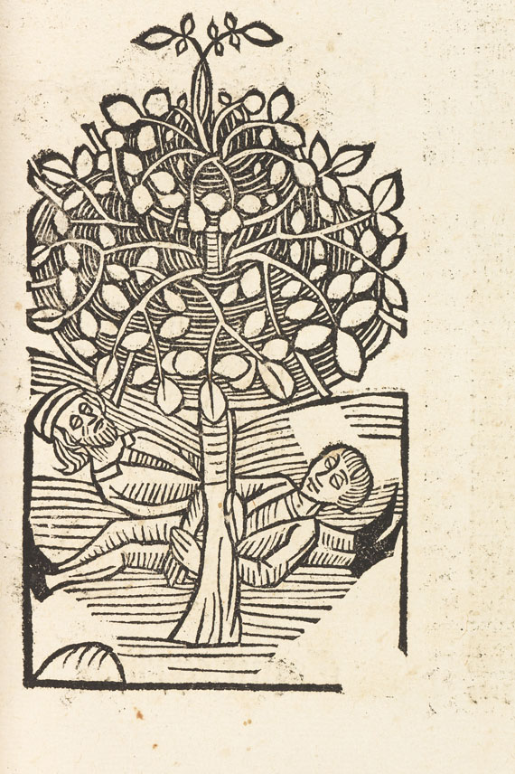   - Hortus Sanitatis 1517 - Weitere Abbildung